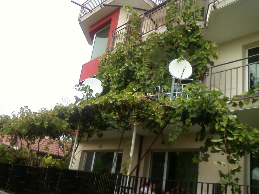 Villa Sunny Hill Fish Fish Extérieur photo